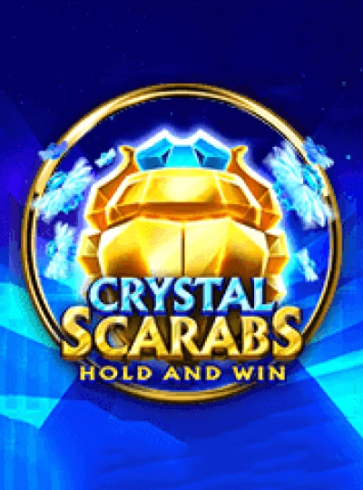 wz2 IPL cricket betting game cover